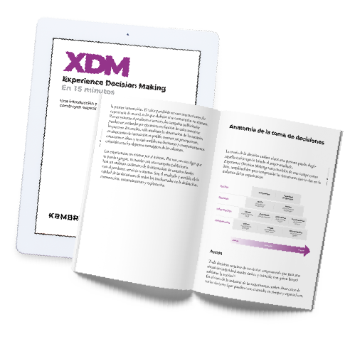 Libro digital XDM en 30 minutos